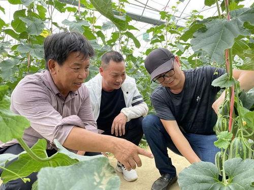 朱亭吃瓜最新视频,揭秘幕后故事,带你领略娱乐圈风云