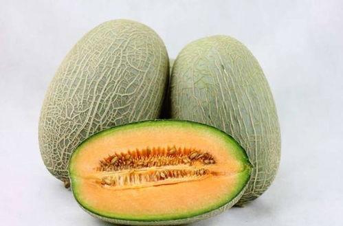 涛哥新疆吃哈密瓜视频,涛哥带你领略甜蜜诱惑