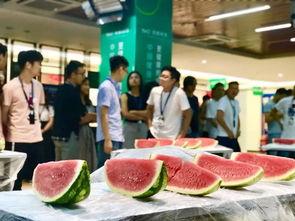 武汉吃瓜大赛最新消息视频,精彩瞬间大盘点!