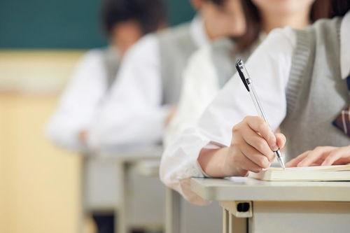 学校吃瓜吵架事件视频,一场视频引发的争执与反思