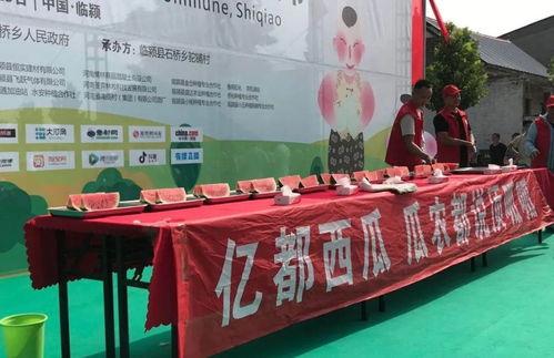 临颍吃瓜大赛完整视频,一场欢乐盛宴的视觉盛宴