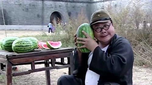 太搞笑吃瓜视频,带你领略欢乐瞬间