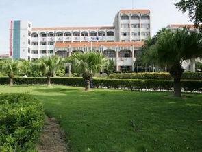 厦门集美大学吃瓜视频,趣味视频曝光,校园生活趣味十足