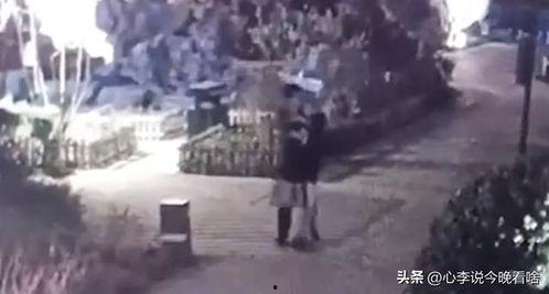 容东公园吃瓜事件视频完整版,视频完整版揭露惊人真相