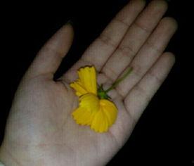 吃瓜视频素材哪里找,吃瓜视频素材的宝藏之地