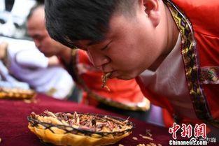 丽江小伙吃瓜事件视频,一场网络热议的瓜田奇遇