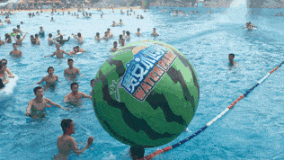 泡泡视频怎么打开吃瓜,泡泡视频“吃瓜生成”功能详解