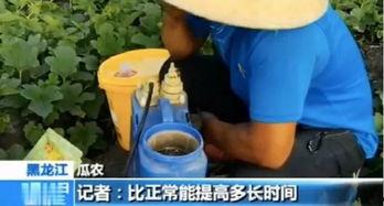 瓜农主播吃瓜视频,趣味横生视频引网友热议