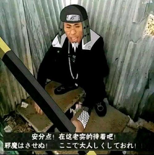 老八吃瓜视频免费观看,免费观看背后的秘密